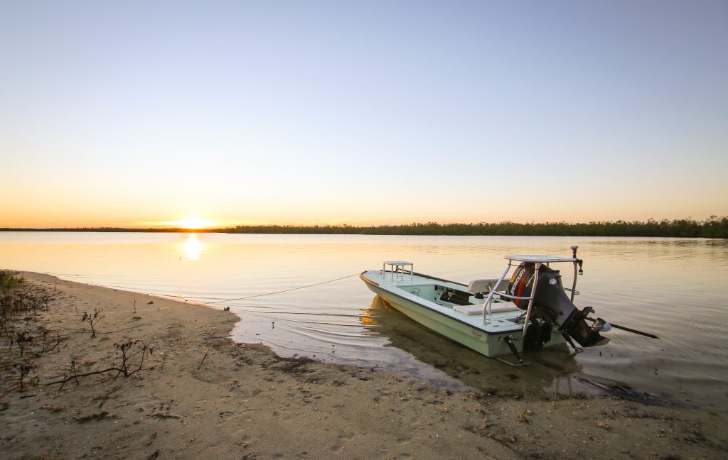 Introducing Dragonfly Tackle Co.