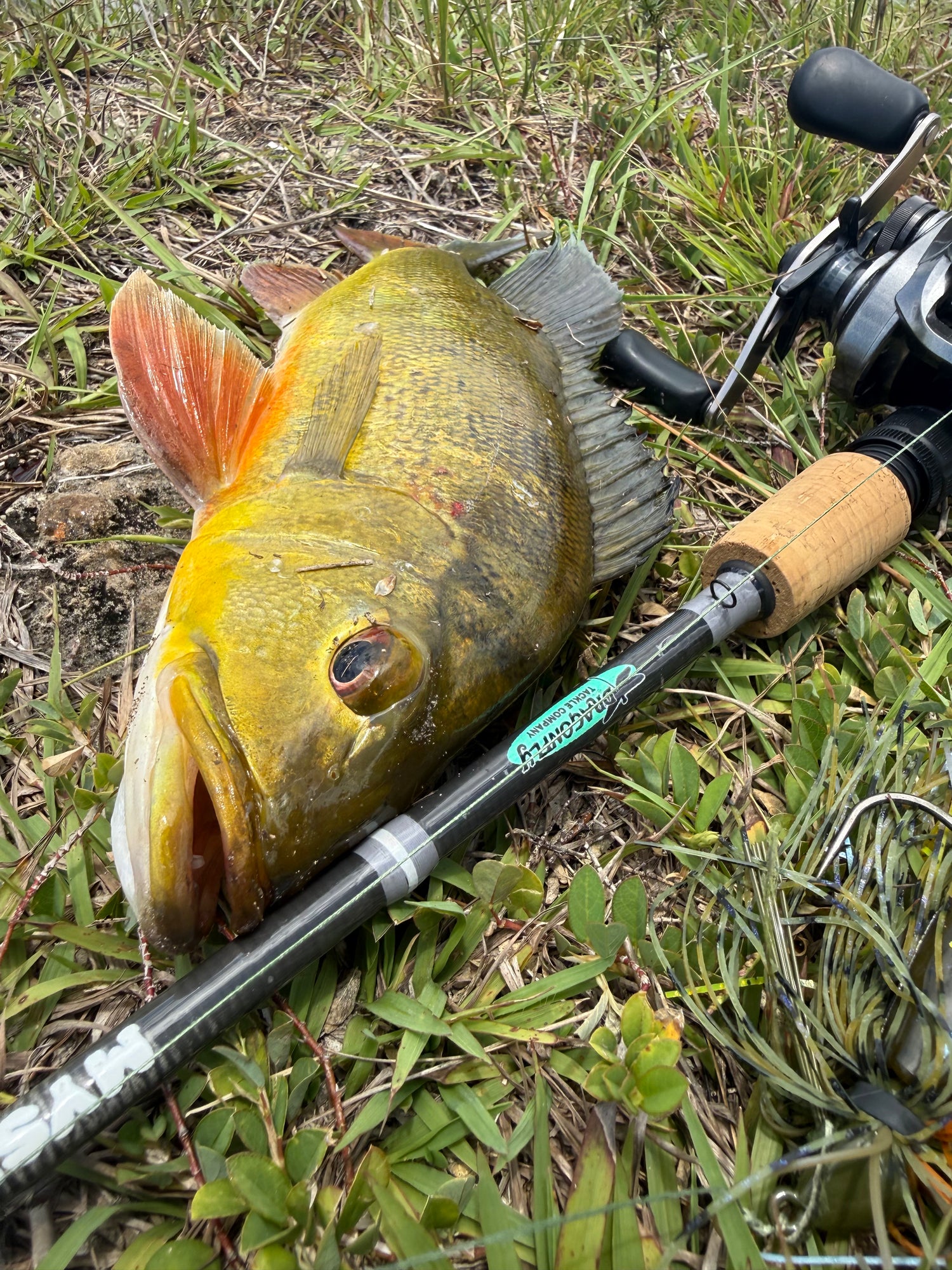 Landicho Custom Rods Dragonfly Tackle Company | Inshore Fishing Rods