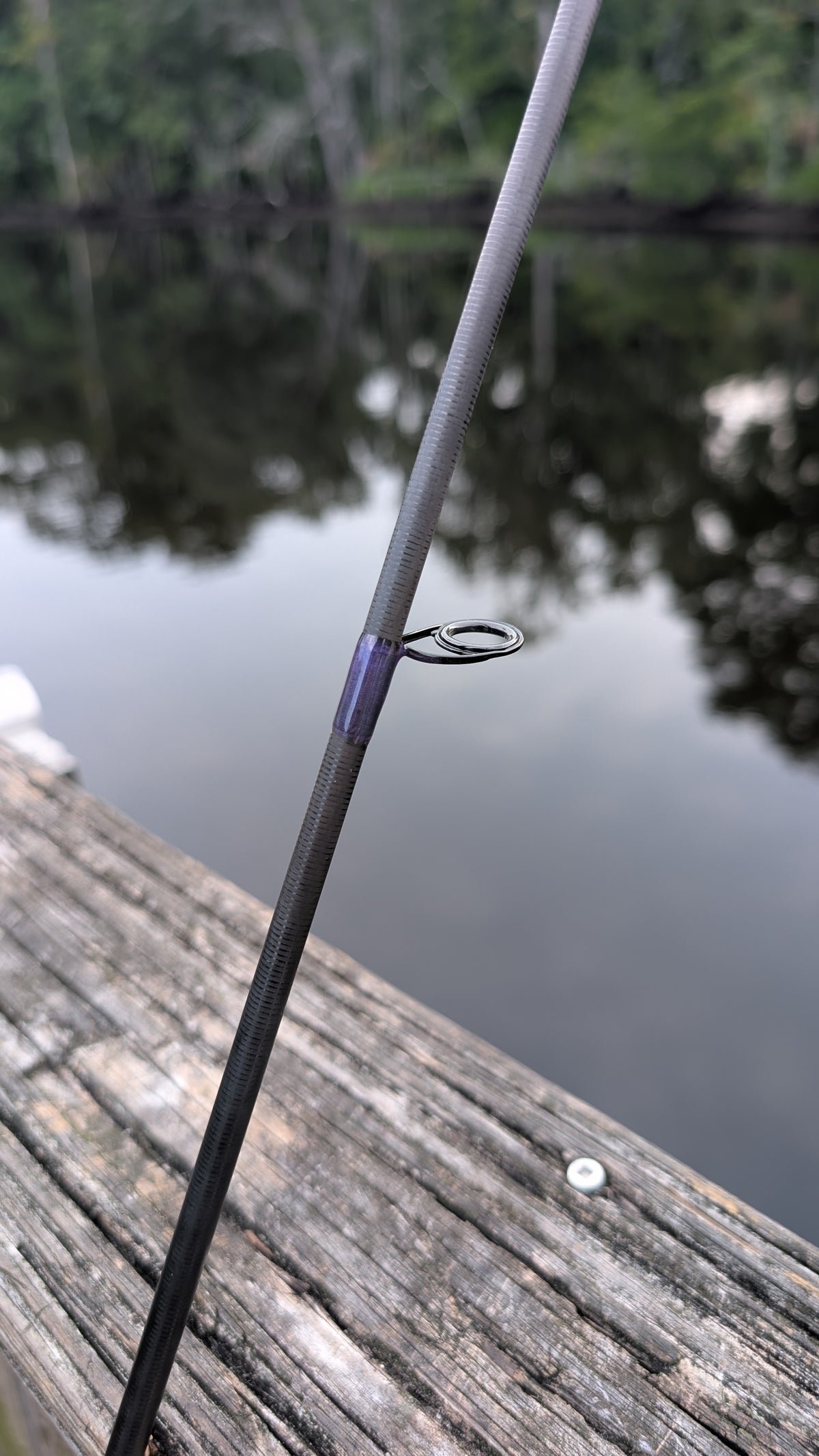 Dark Magic Spinning Rod