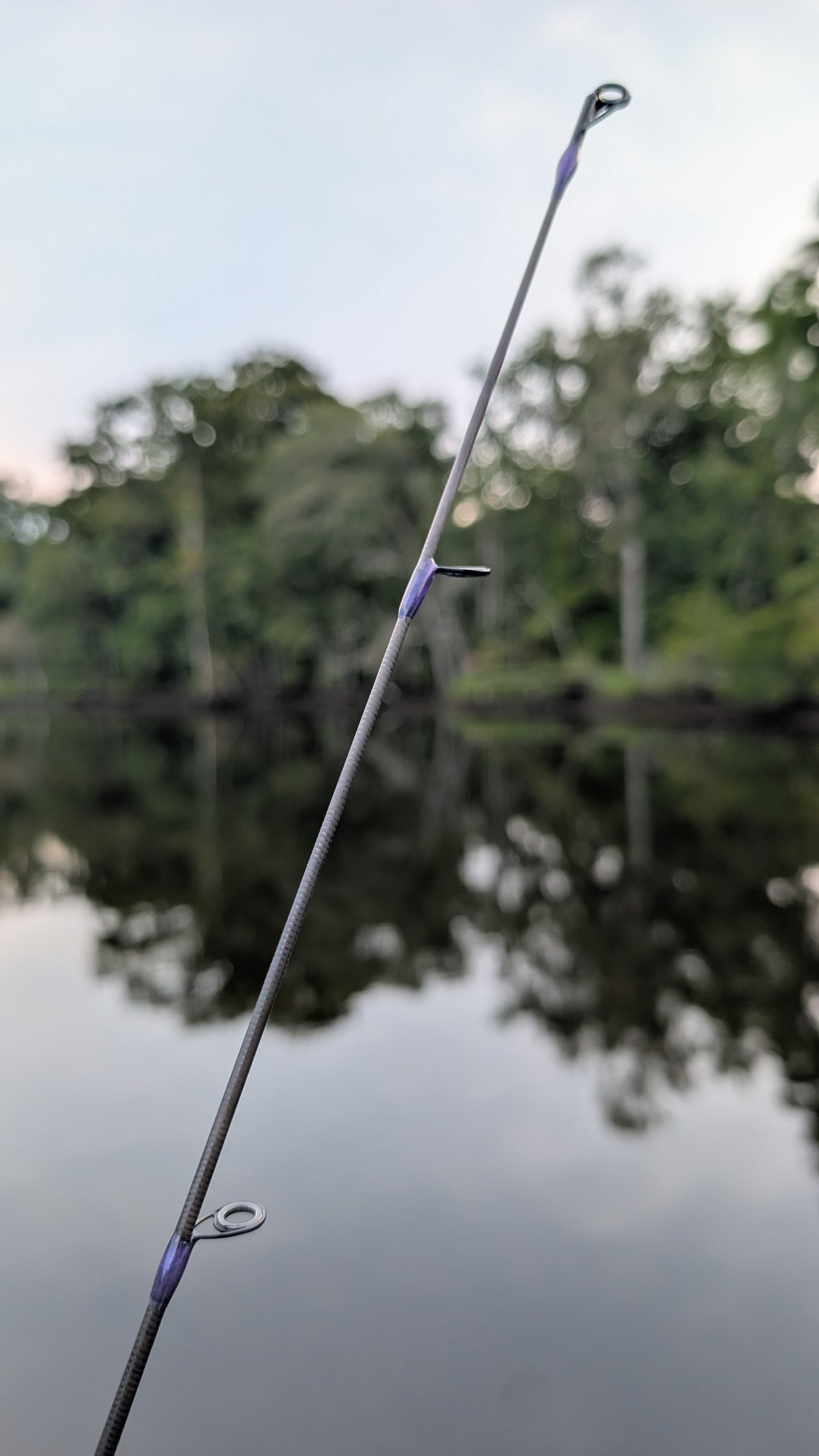 Dark Magic Spinning Rod