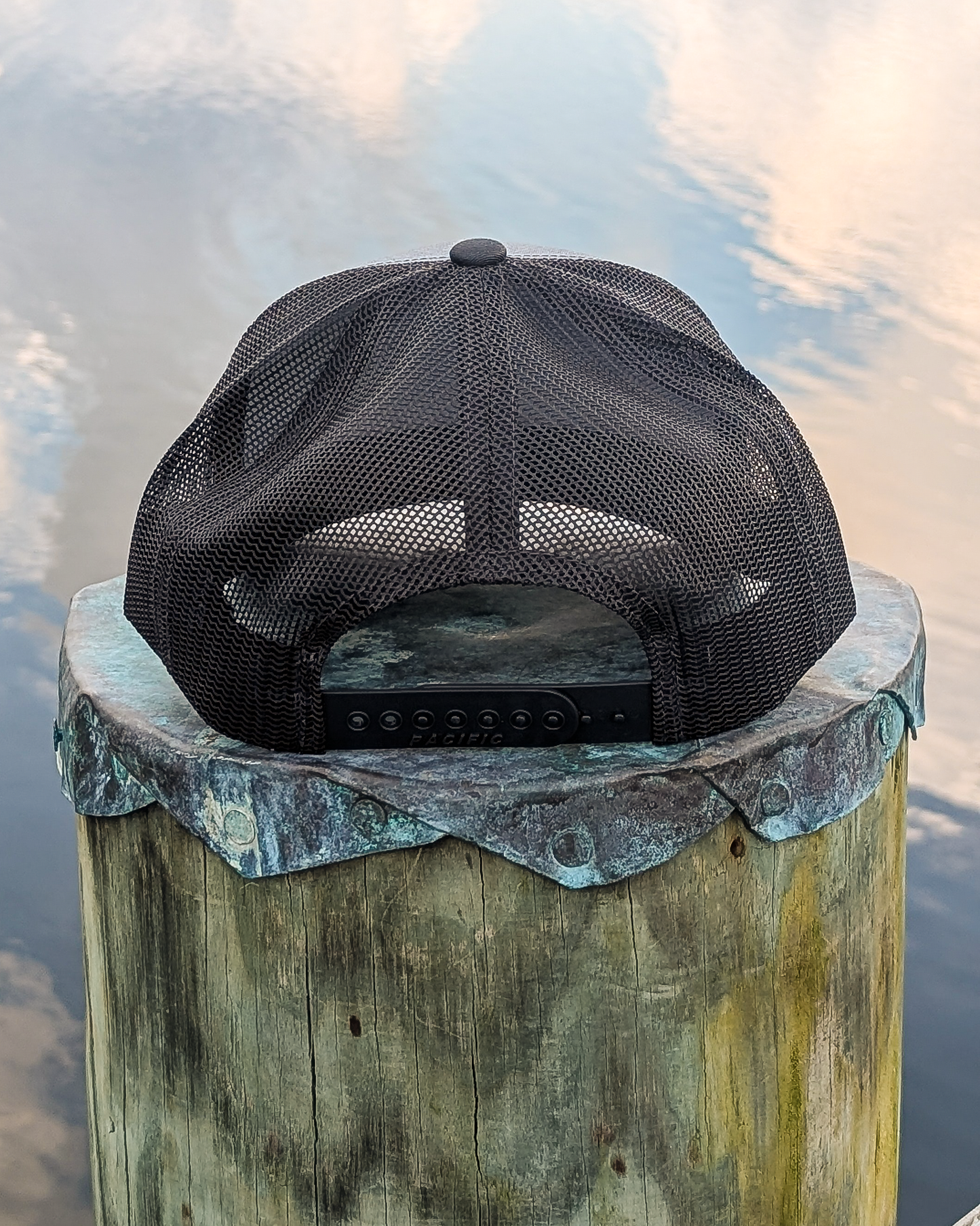 Dragonfly Trucker Hat