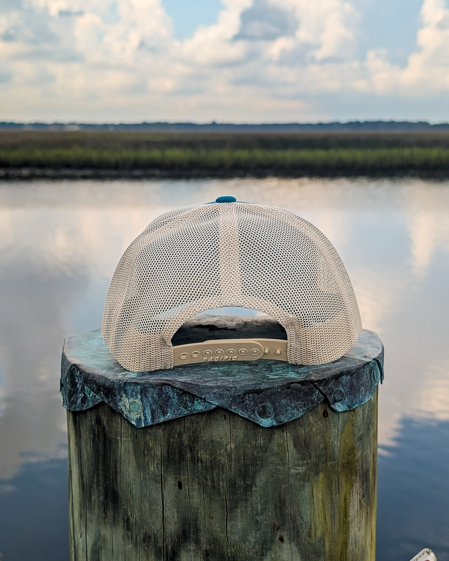 Dragonfly Jaguars Teal Trucker Hat